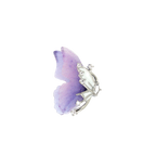 TN7752